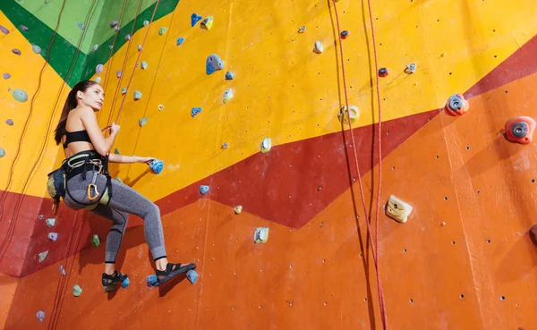 Активна жінка піднімається на стіну в спортзалі — стокове фото
