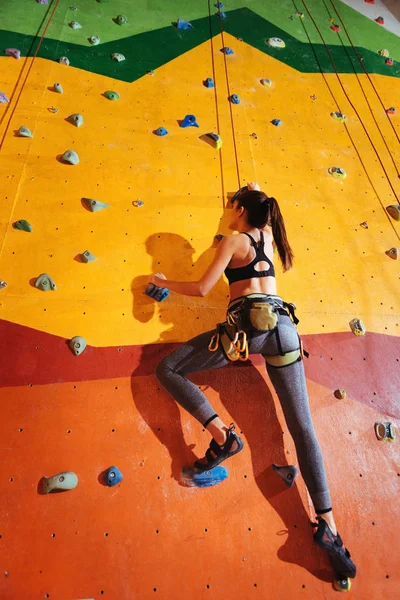 체육관에서 오렌지 벽을 등반 하는 강한 여자 — 스톡 사진