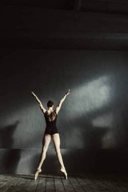 Stüdyoda germe karizmatik balet