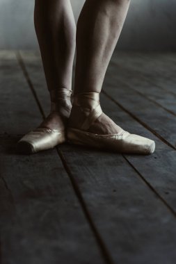 Siyah zemin üzerinde duran pointes bale dansçısı bacaklar