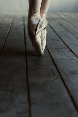 Balet pointes tiptoes performans