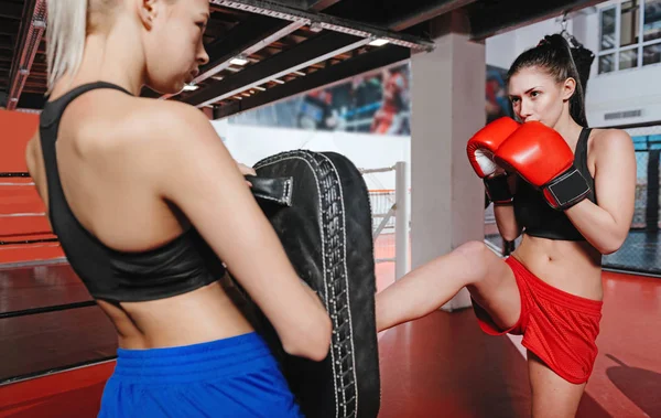 Focused skillful female boxer mastering her skills — Stock Photo, Image