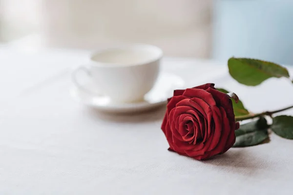 红玫瑰躺在餐厅的桌子上 — 图库照片