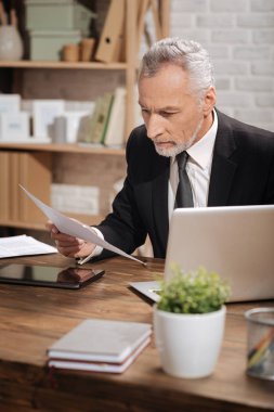 Olgun işadamı sözleşme perusing konsantre