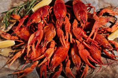 Limon pide üzerinde yalan crayfishes yakın çekim