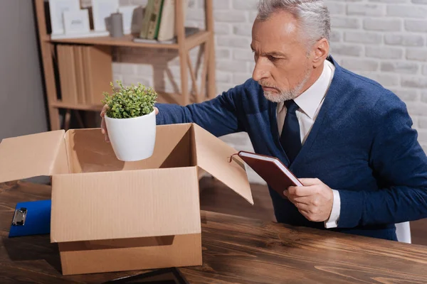 Ejecutivo triste enfocado poniendo su planta en una caja — Foto de Stock