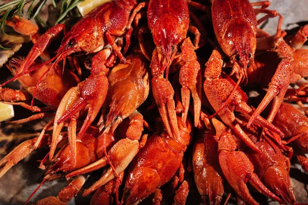 上皮塔饼好吃 crayfisheslying 的特写 — 图库照片