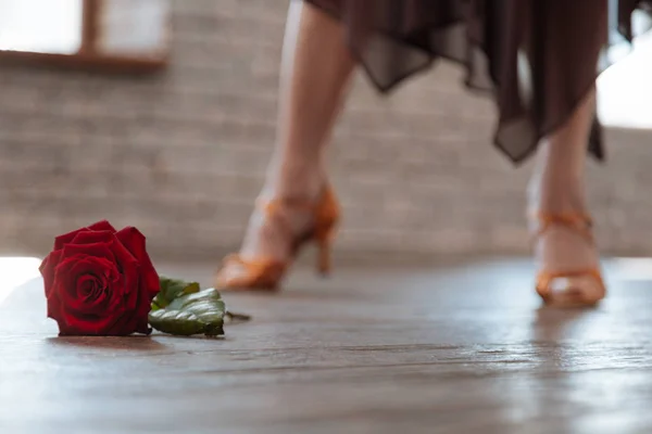 Mulher qualificada dançando salsa no salão de baile — Fotografia de Stock