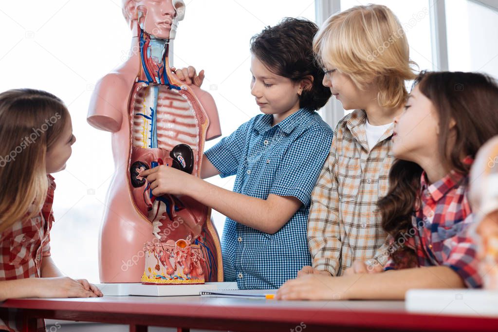 Incredible determined students fascinated about human anatomy
