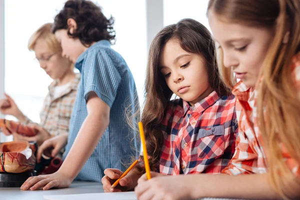 Amigos da escola estudando biologia juntos — Fotografia de Stock