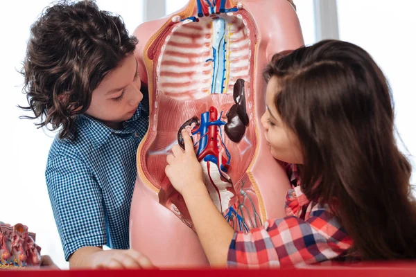 Admirable school students looking at how body functions Stock Image