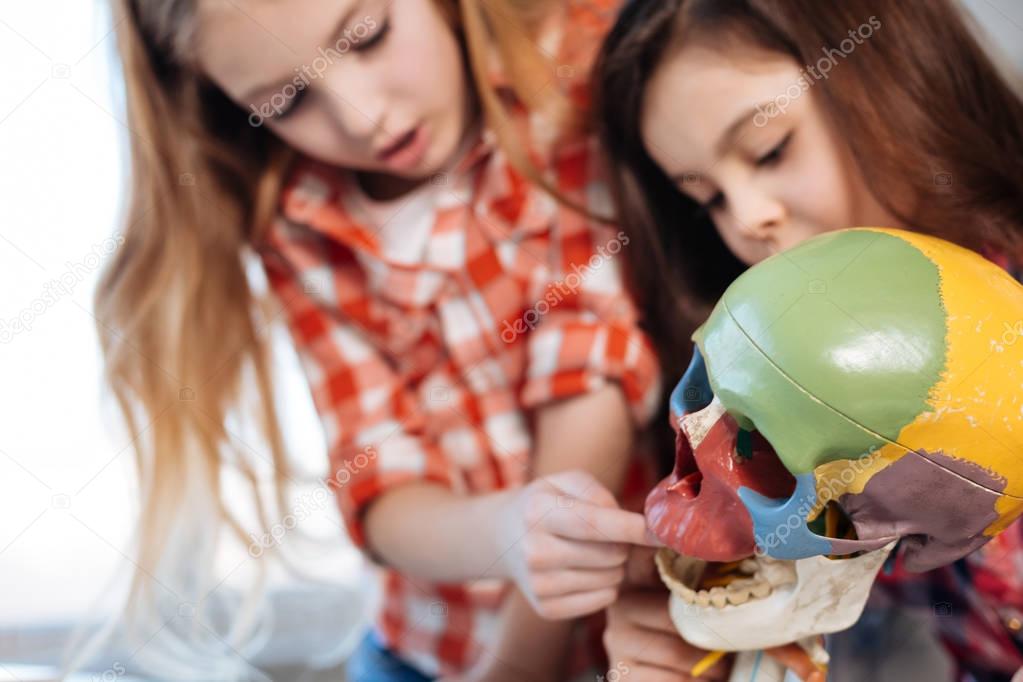 Fearless charming ladies touching a plastic skull