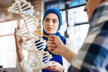 Akıllı uluslararası öğrenciler genetik öğrenme