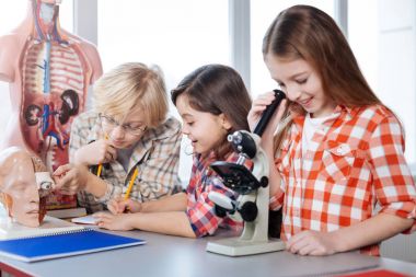 Üretken sınıf Biyoloji işte çalışmak