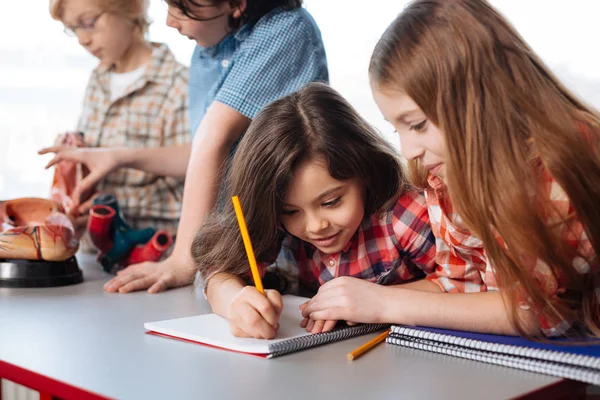 Attentive bright students writing a research paper — Stock Photo, Image