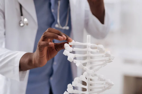 Primer plano de una mano de científicos sosteniendo el modelo de ADN — Foto de Stock