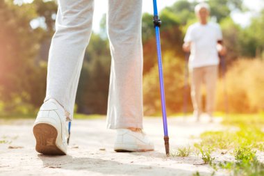 Kutup kullanımda Kuzey yürüyüşü