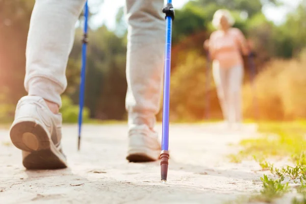 Walking pole being stuck into the ground — Stock Photo, Image