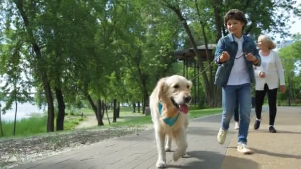 Pequeño bot paseando con su perro en el parque — Vídeos de Stock