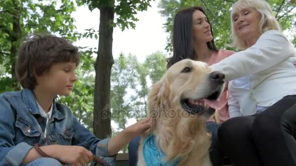 Низкий угол дружеской семьи, отдыхающей с собакой — стоковое видео