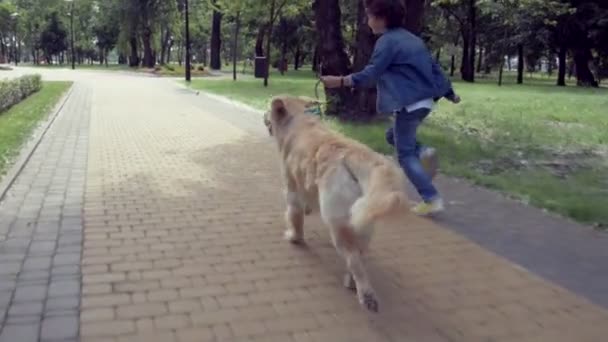 Positivo niño corriendo con su perro — Vídeo de stock