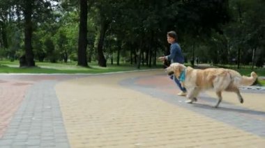 Neşeli sevimli çocuk onun köpek ile çalışan