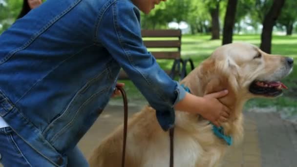 Θετική μικρό αγόρι παίζει με το σκύλο του — Αρχείο Βίντεο