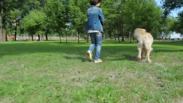 Aangename familie chioosing plek voor een picknick — Stockvideo