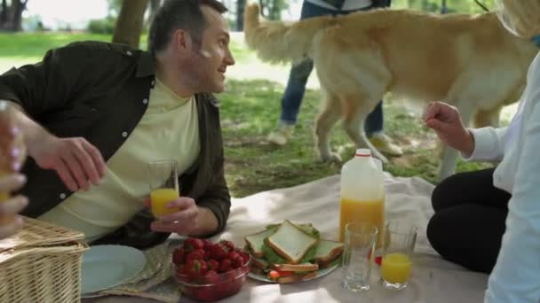 Positive Familie genießt Picknick im Park — Stockvideo