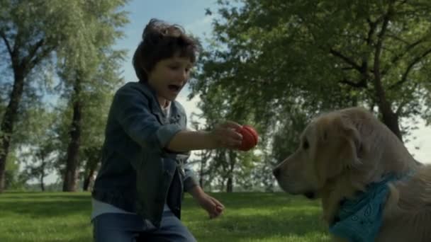 Alegre niño jugando con su perro de pura raza — Vídeo de stock