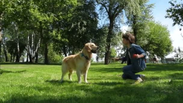 Веселий маленький хлопчик тренує свого собаку в парку — стокове відео