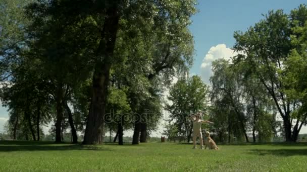 Homme agréable lançant la balle pour son chien 