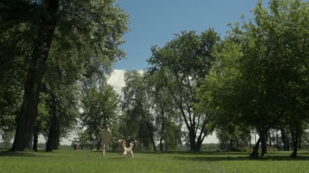 Приємний чоловік грає в парку зі своїм собакою — стокове відео