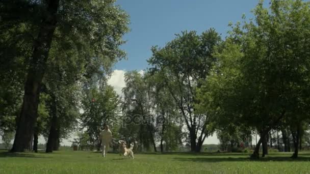 Homme agréable jouant dans le parc avec son chien 