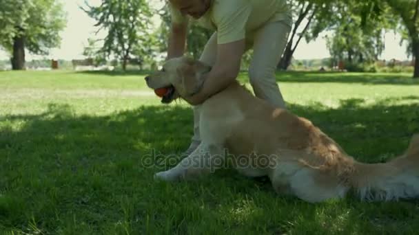 Hombre alegre jugando con su perro en el parque — Vídeo de stock