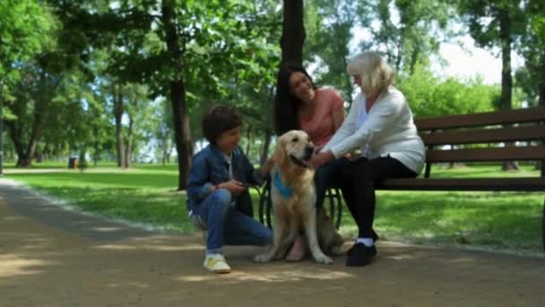 Familia positiva descansando en el parque con su perro — Vídeos de Stock