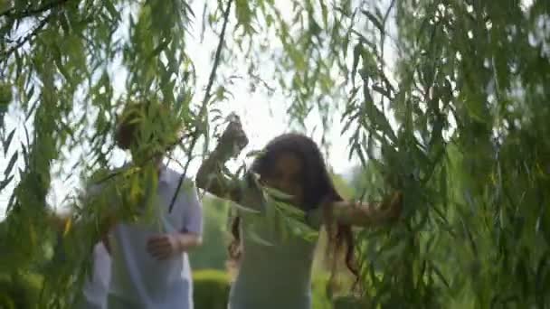 Adorables petits briseurs de sentiers marchant sous un saule — Video