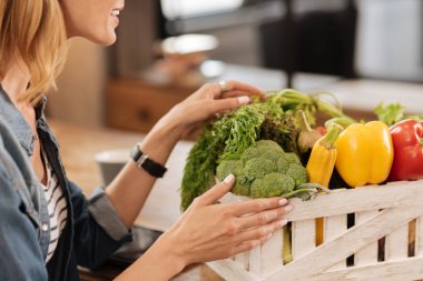 Sebze kutusundan alarak yaratıcı meraklı kadın