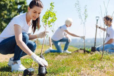 Hassas karizmatik kadın küçük ağaçları ile dikkatli