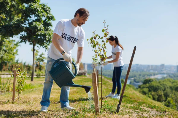 Yeni ağaçlar nemli ile beslenmesi çalışkan akıllı adam
