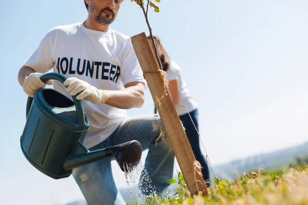 Attentive pria yang luar biasa mengurus pohon-pohon muda — Stok Foto