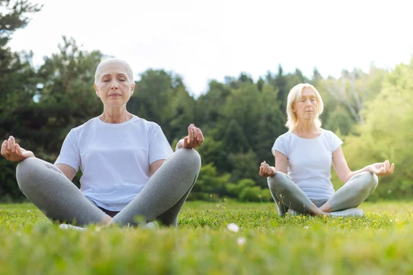 Dos socios haciendo yoga al aire libre — Foto de Stock