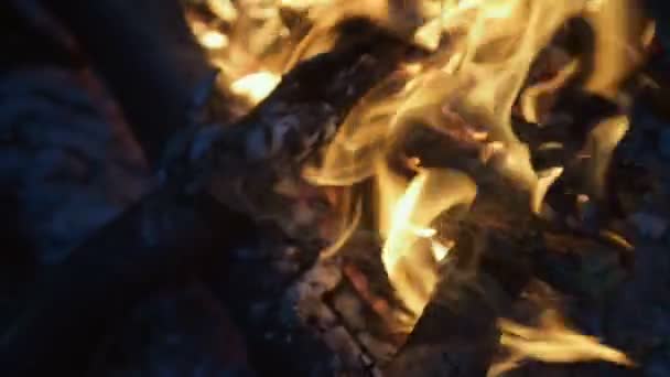 Gros plan du feu de joie qui brûle la nuit 