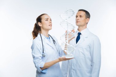 Neşeli tıbbi iş arkadaşlarınızla birlikte plastik dna modeli arıyorum