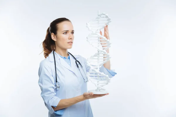 Умная женщина-врач, изучающая модель ДНК — стоковое фото