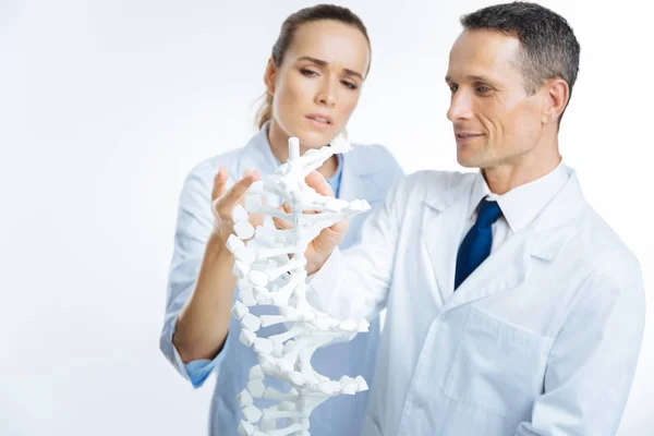 Professionella läkare tittar på en dna-modell — Stockfoto