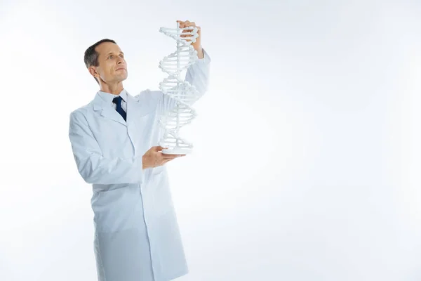 Scienziato maturo che esamina il modello di DNA monocromatico — Foto Stock