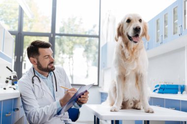 Yakışıklı çocuk-köpek arka ayakları üzerinde oturan