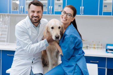 Gülümseyen veteriner sevecen güzel köpek