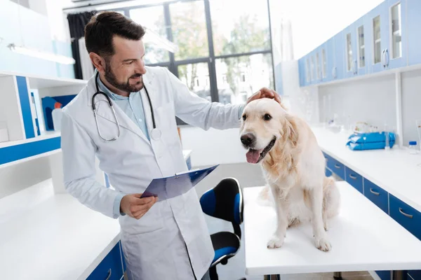 Glada veterinär utövaren smekande Labrador — Stockfoto